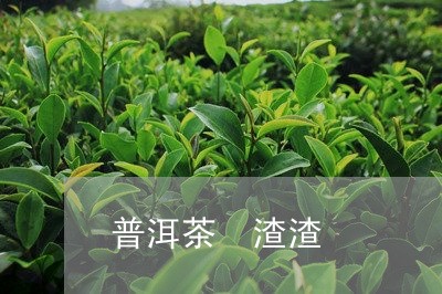 普洱茶 渣渣/2023042716569